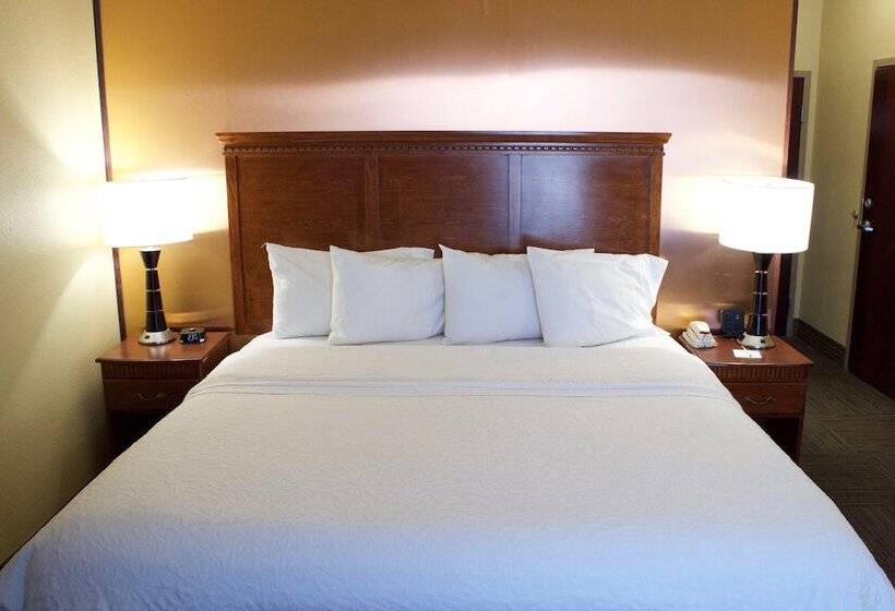 غرفة قياسية, Hampton Inn Seguin