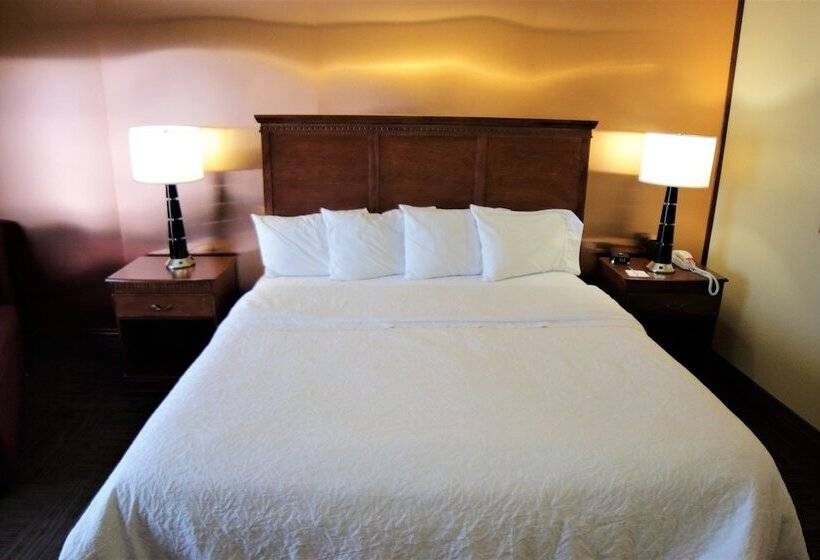 غرفة قياسية, Hampton Inn Seguin