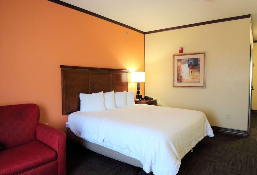 غرفة قياسية, Hampton Inn Seguin
