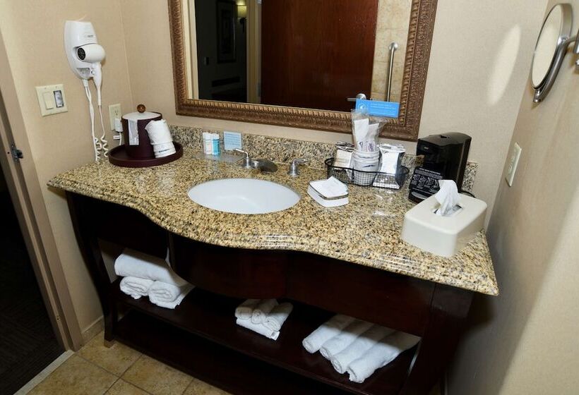 غرفة قياسية, Hampton Inn Seguin