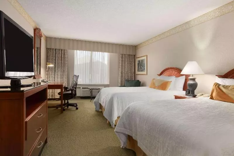 スタンダードルーム, Hilton Garden Inn Atlanta Ne/gwinnett Sugarloaf
