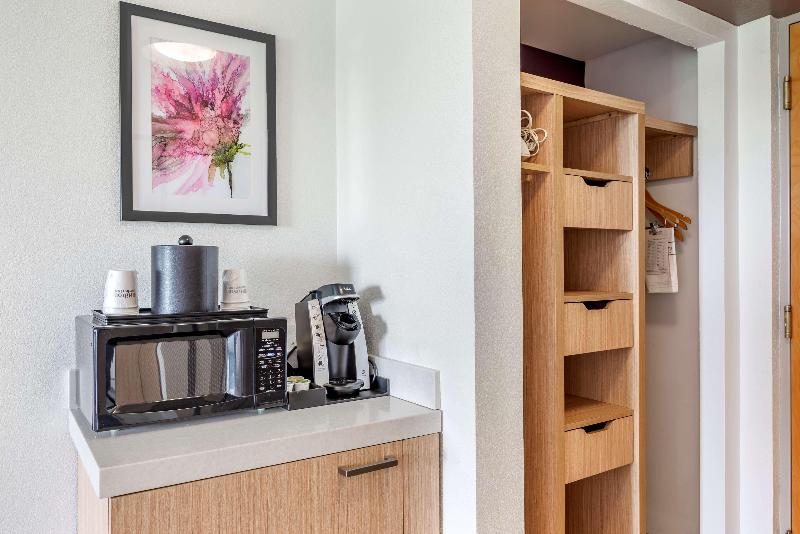 غرفة قياسية سرير كينج, Hilton Garden Inn Atlanta Ne/gwinnett Sugarloaf