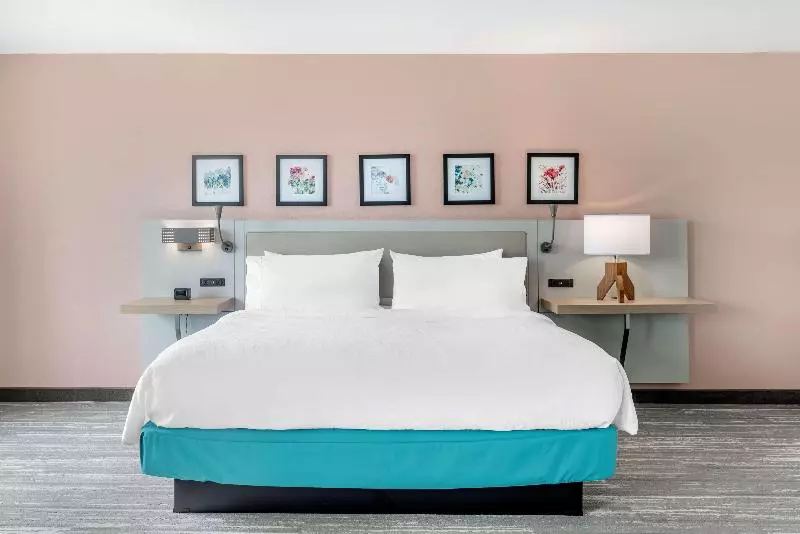 キングサイズベッドのスタンダードルーム, Hilton Garden Inn Atlanta Ne/gwinnett Sugarloaf