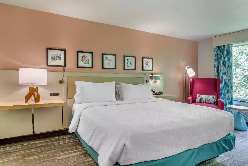 キングサイズベッドのスタンダードルーム, Hilton Garden Inn Atlanta Ne/gwinnett Sugarloaf