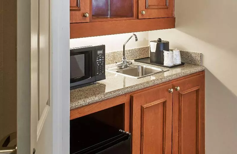 キングサイズベッドのスイートルーム, Hilton Garden Inn Atlanta Ne/gwinnett Sugarloaf