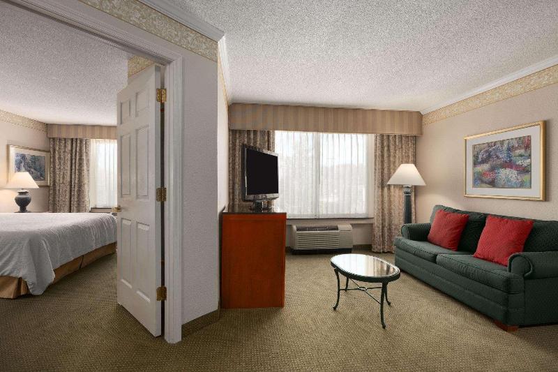 Люкс Кровать Кинг, Hilton Garden Inn Atlanta Ne/gwinnett Sugarloaf