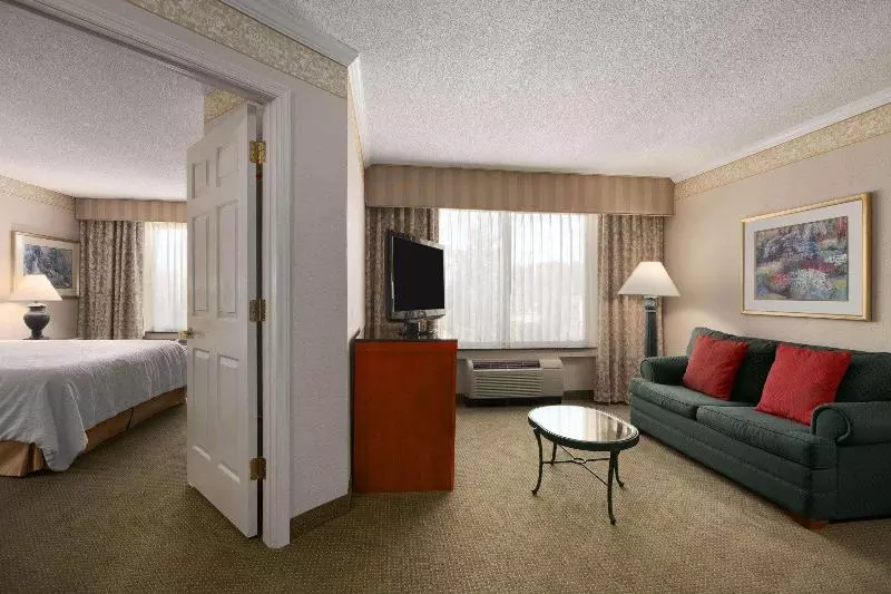 キングサイズベッドのスイートルーム, Hilton Garden Inn Atlanta Ne/gwinnett Sugarloaf
