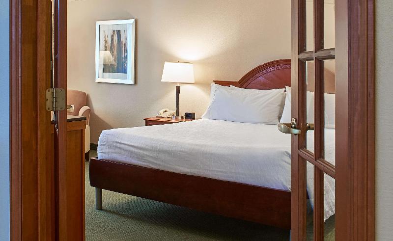 جناح سرير كينج, Hilton Garden Inn Atlanta Ne/gwinnett Sugarloaf