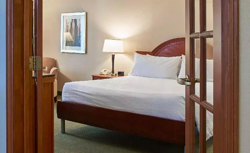 キングサイズベッドのスイートルーム, Hilton Garden Inn Atlanta Ne/gwinnett Sugarloaf