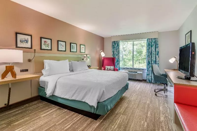 キングサイズベッドのスイートルーム, Hilton Garden Inn Atlanta Ne/gwinnett Sugarloaf