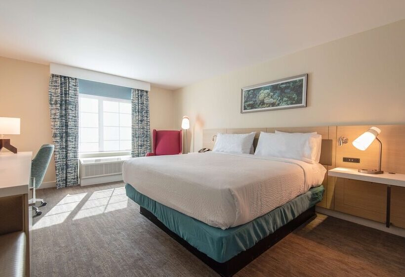 장애인을 위한 스탠다드 룸, Hilton Garden Inn Calabasas