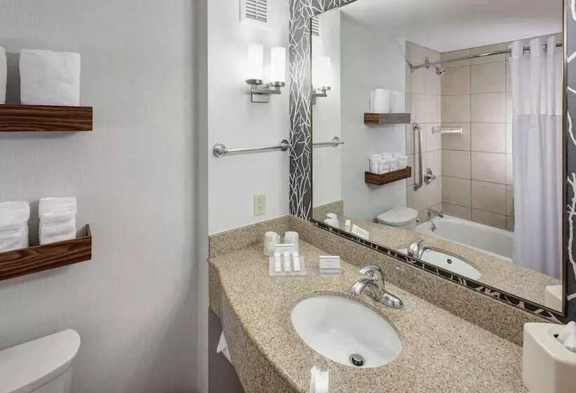 Standard-huone, Hilton Garden Inn Lake Forest Mettawa