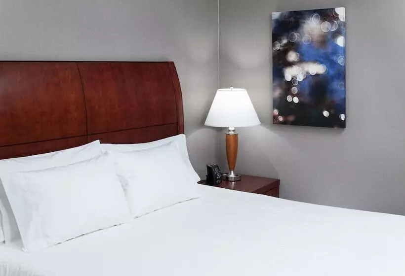 Standard-huone, Hilton Garden Inn Lake Forest Mettawa