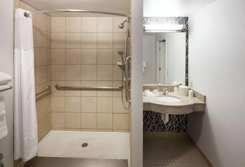 Standard-invahuone, Hilton Garden Inn Lake Forest Mettawa