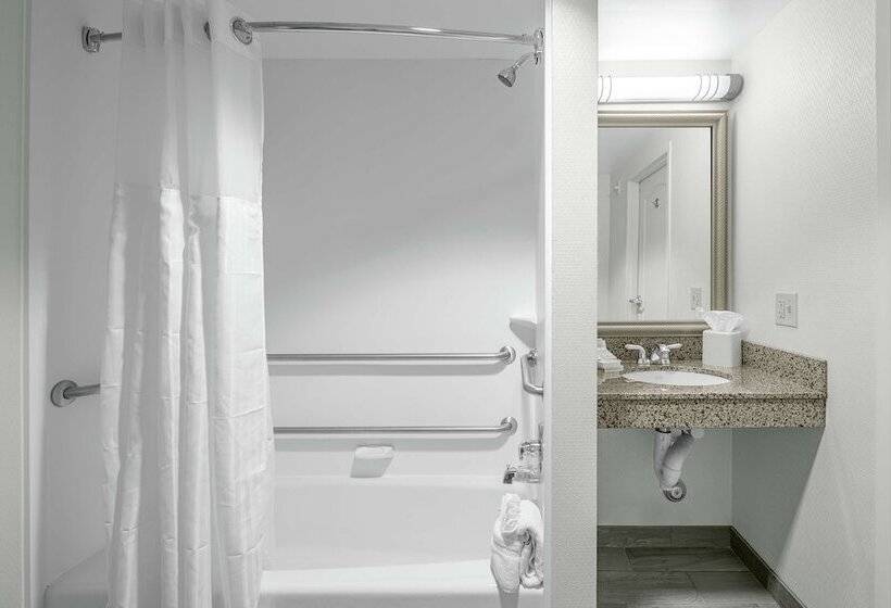 חדר סטנדרט מותאם לאדם עם מוגבלויות, Hilton Garden Inn Wilmington Mayfaire Town Center
