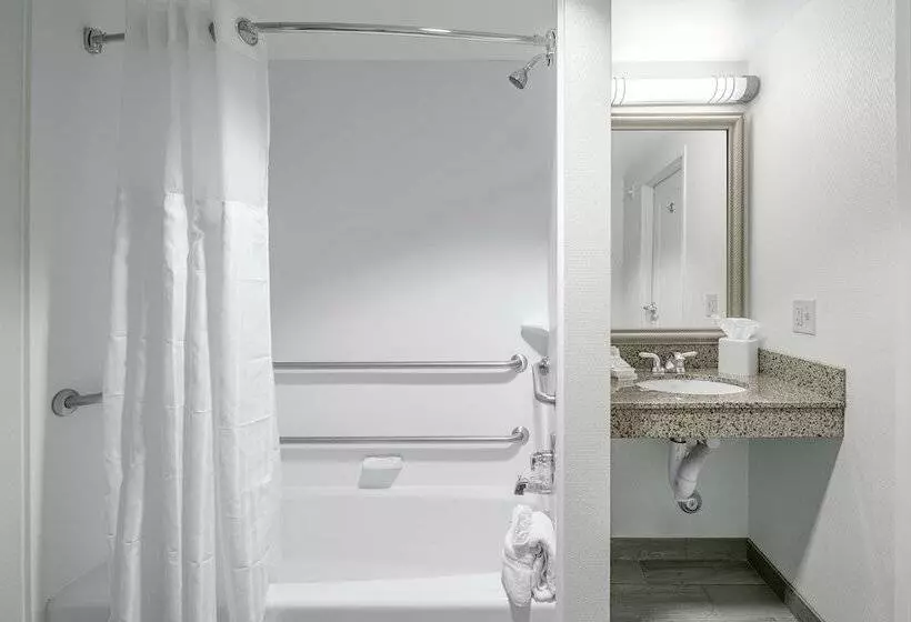 اتاق استاندارد برای معلولان, Hilton Garden Inn Wilmington Mayfaire Town Center