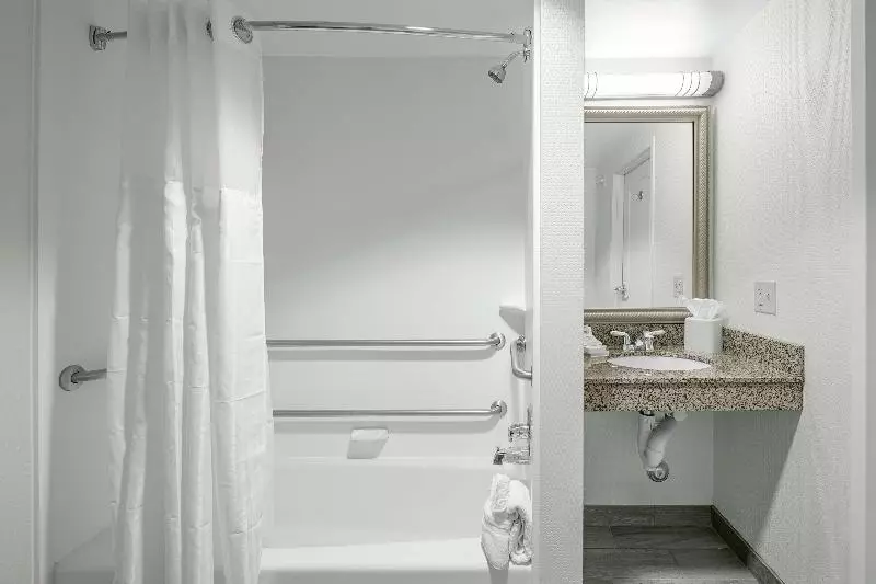 اتاق استاندارد با تخت بزرگ, Hilton Garden Inn Wilmington Mayfaire Town Center