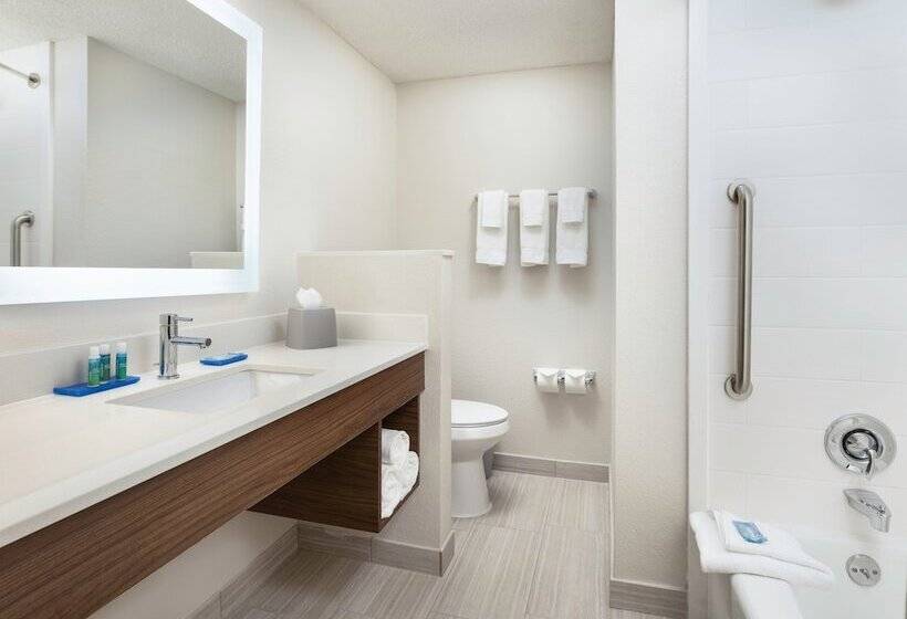 Люкс, Holiday Inn Express Hotel & Suites Irving Dfw Airport North, An Ihg
