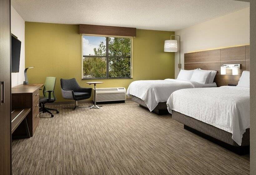 スイート, Holiday Inn Express Hotel & Suites Irving Dfw Airport North, An Ihg