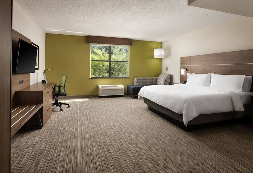 スイート, Holiday Inn Express Hotel & Suites Irving Dfw Airport North, An Ihg