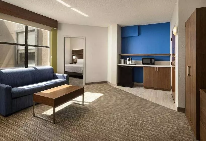 Sviitti, Holiday Inn Express Hotel & Suites Irving Dfw Airport North, An Ihg
