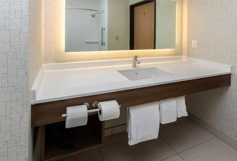 Standard-huone, Holiday Inn Express Hotel & Suites Roseville Galleria Area, An Ihg