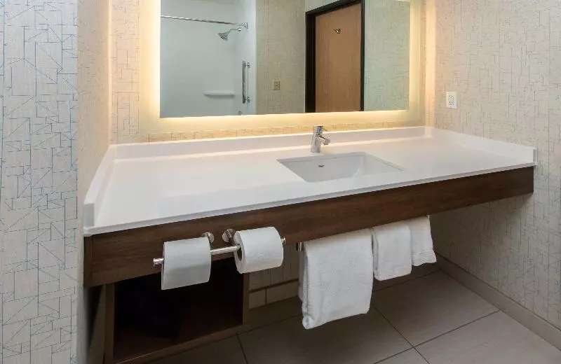Sviitti King-vuode, Holiday Inn Express Hotel & Suites Roseville Galleria Area, An Ihg