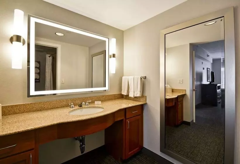 سوییت, Homewood Suites By Hilton Ithaca