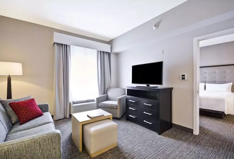 سوییت, Homewood Suites By Hilton Ithaca