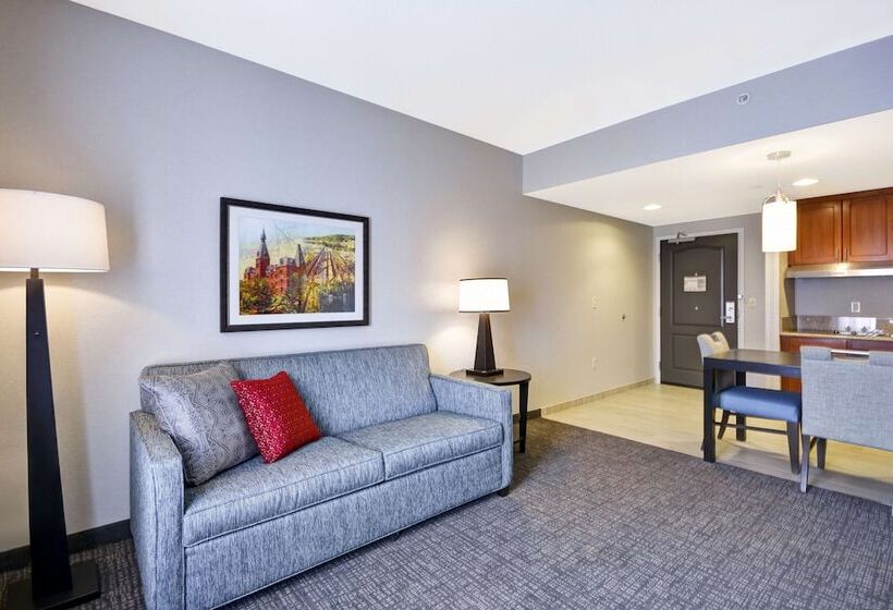 장애인을 위한 스위트, Homewood Suites By Hilton Ithaca