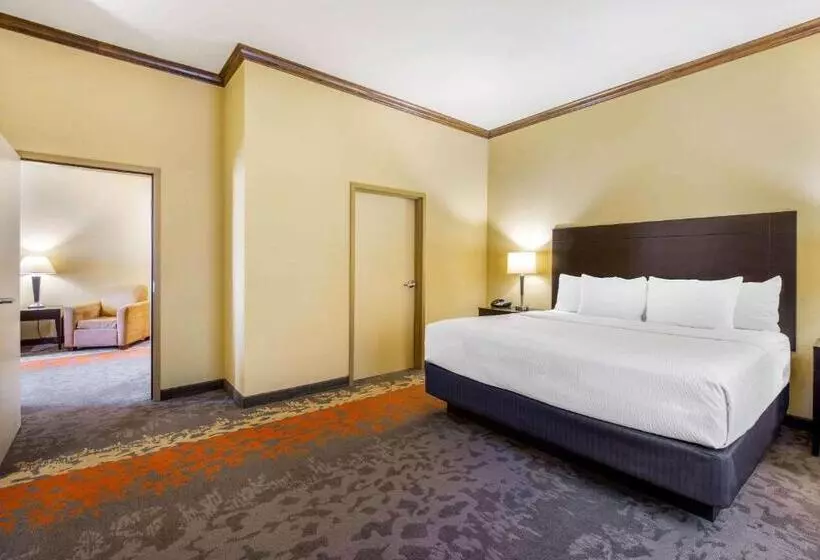 身障者適用キングサイズベッドルーム, La Quinta By Wyndham Eastland