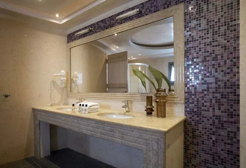 ベーシックルーム, Petit Palace Suites