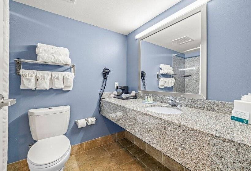 חדר סטנדרט שתי מיטות זוגיות, Quality Inn & Suites Tampa Ybor City