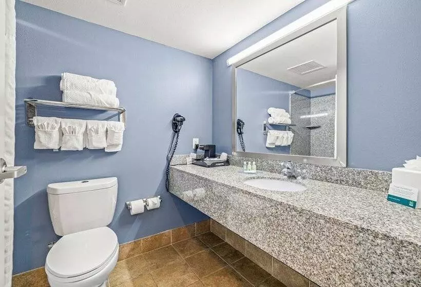 Standard-huone 2 Parivuodetta, Quality Inn & Suites Tampa Ybor City