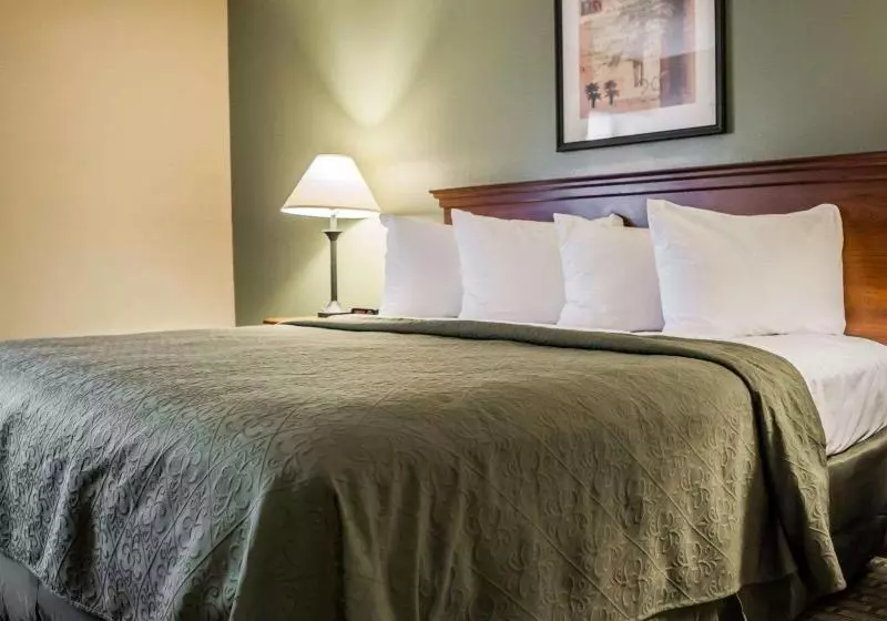 Sviitti King-vuode, Quality Inn & Suites Tampa Ybor City