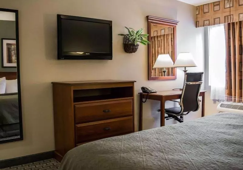 Sviitti King-vuode, Quality Inn & Suites Tampa Ybor City