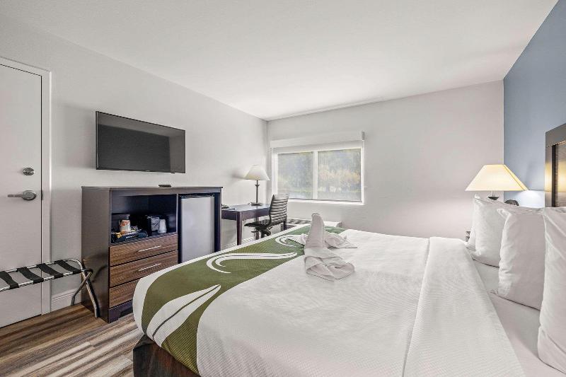 스탠다드 룸 킹사이즈 침대, Quality Inn & Suites Tampa Ybor City
