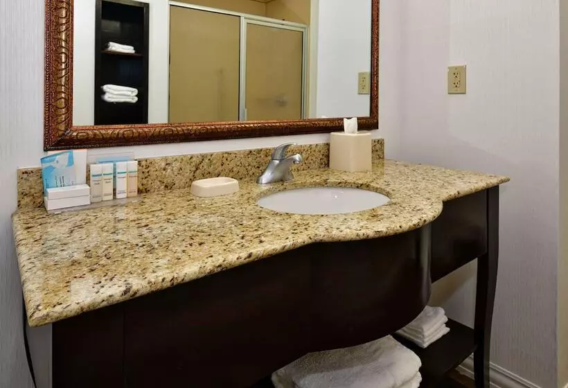 スタンダードインサイドビュールーム, Hampton Inn & Suites Fredericksburg