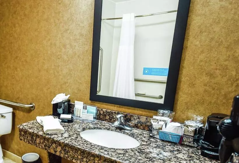 身障者適用スタンダードルーム, Hampton Inn And Suites Pine Bluff