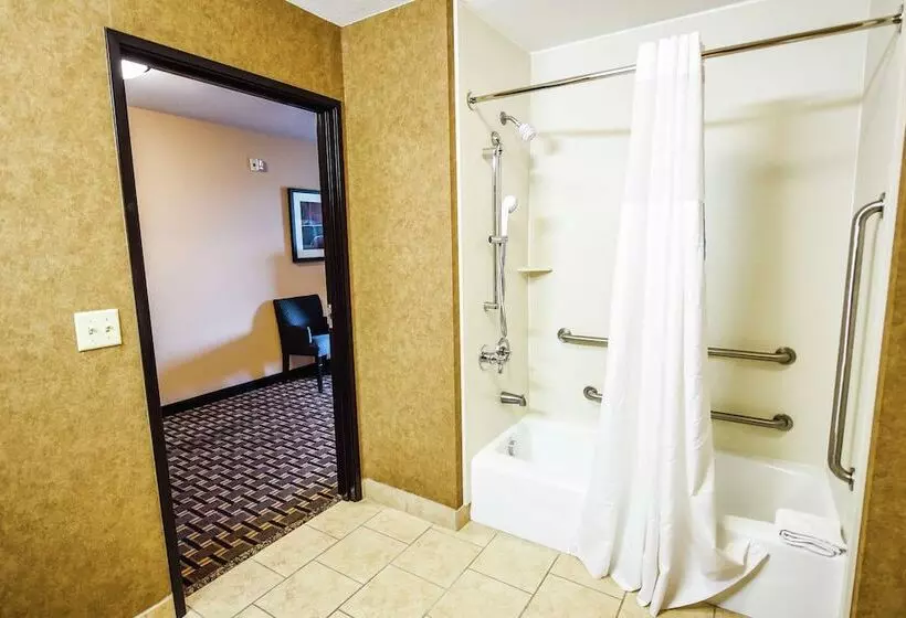 身障者適用スタンダードルーム, Hampton Inn And Suites Pine Bluff