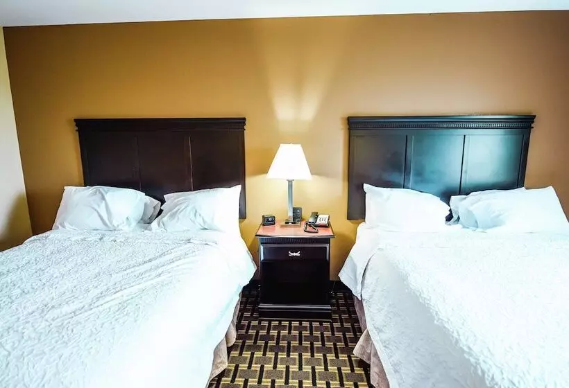 身障者適用スタンダードルーム, Hampton Inn And Suites Pine Bluff
