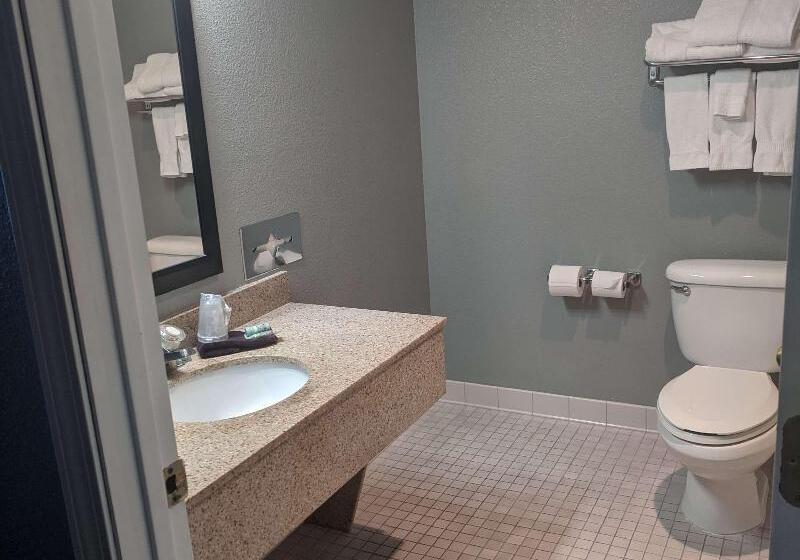 إستوديو قياسى سرير كينج, Hampton Inn And Suites Pine Bluff