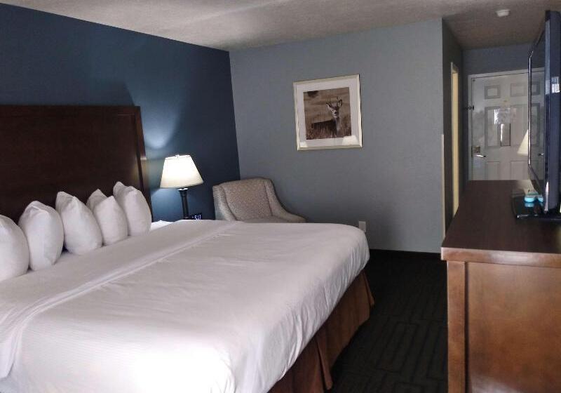 Студио Стандарт Кровать Кинг, Hampton Inn And Suites Pine Bluff