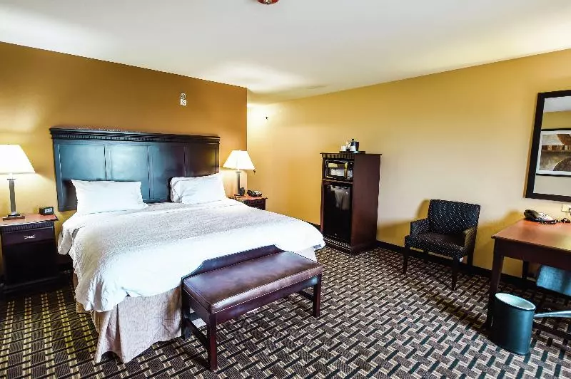 キングサイズベッドのスタンダードルーム, Hampton Inn And Suites Pine Bluff