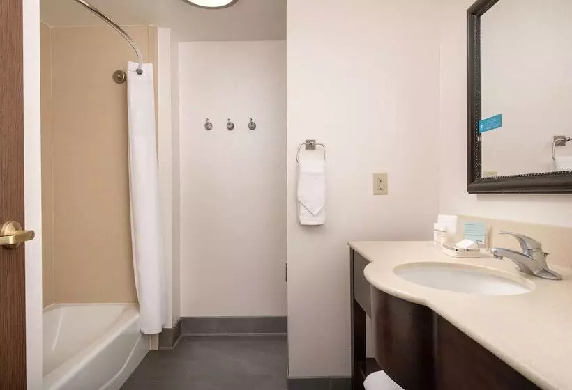 スタンダードスタジオ, Hampton Inn & Suites Lake City