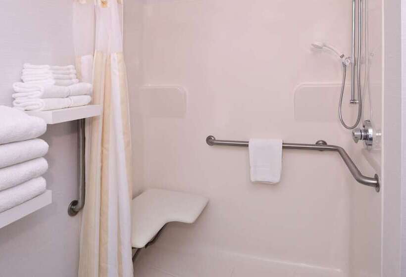 장애인을 위한 스탠다드 룸, Hilton Garden Inn Columbus/polaris