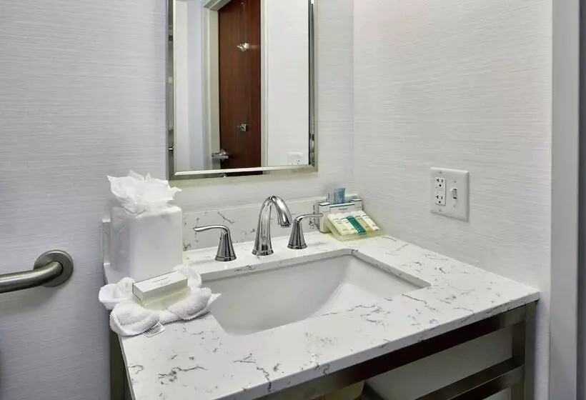 身障者適用スタンダードルーム, Hilton Garden Inn Columbus/polaris