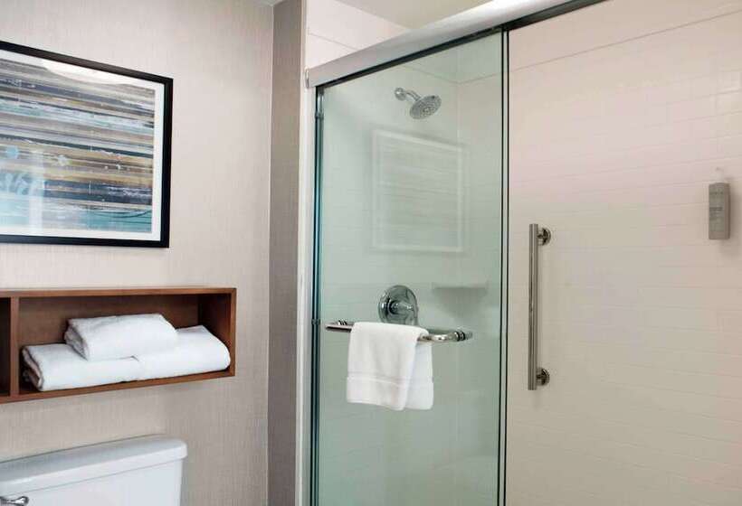 Люкс, Homewood Suites By Hilton St. Louis  Galleria