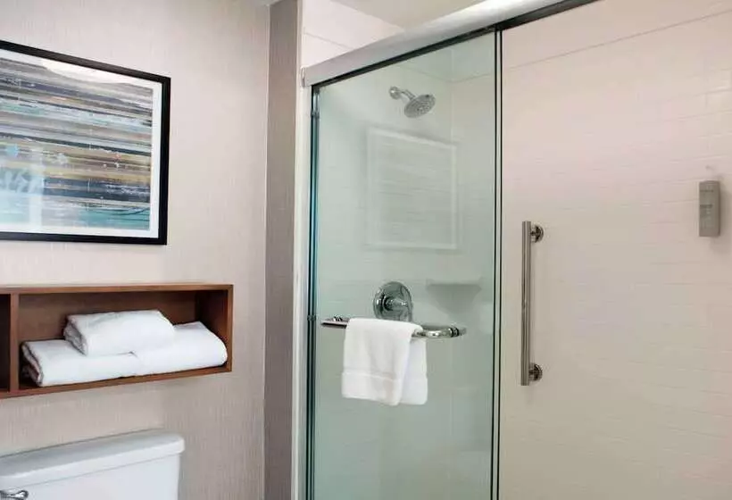 スイート, Homewood Suites By Hilton St. Louis  Galleria