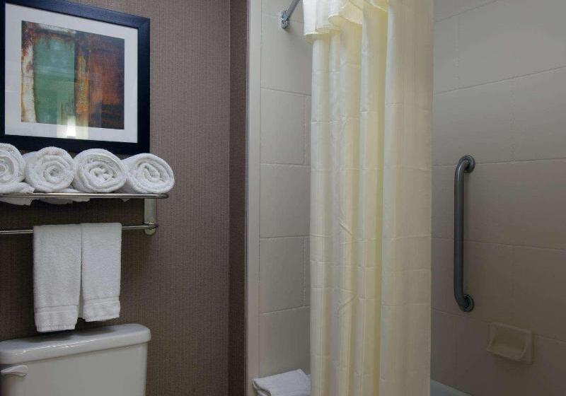 Люкс 2 Спальни, Homewood Suites By Hilton St. Louis  Galleria